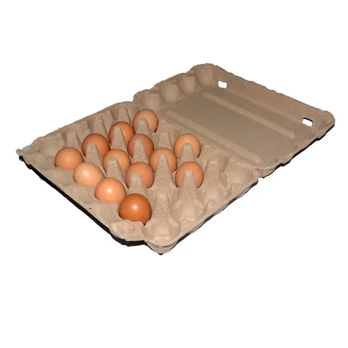 鸡蛋托盘，蛋类纸托生产厂家，蛋禽纸托高密度包装环保